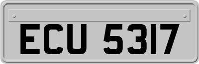 ECU5317