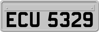 ECU5329
