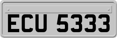 ECU5333