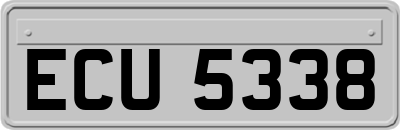 ECU5338