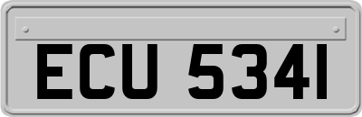 ECU5341