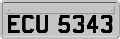 ECU5343