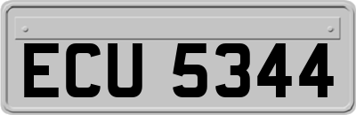 ECU5344