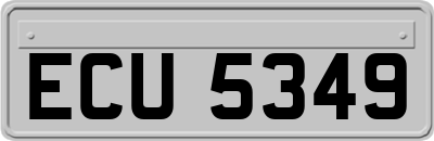 ECU5349