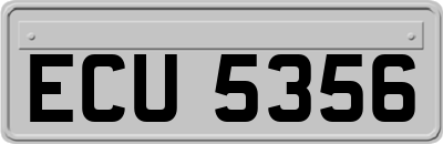 ECU5356