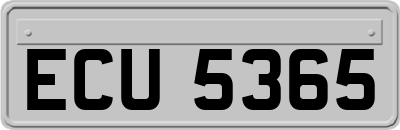 ECU5365