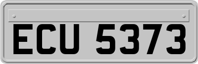 ECU5373