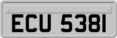ECU5381