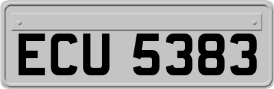 ECU5383