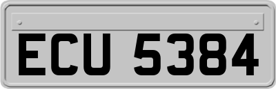 ECU5384