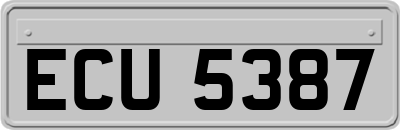 ECU5387