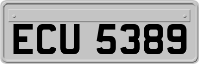 ECU5389