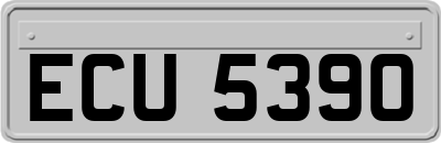ECU5390