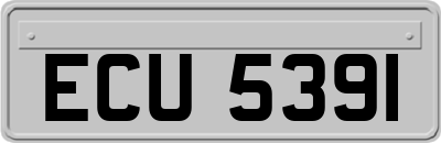 ECU5391