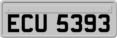 ECU5393