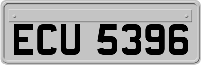 ECU5396
