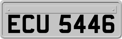 ECU5446
