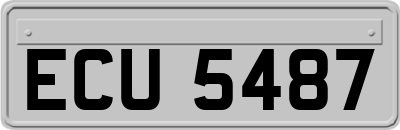 ECU5487