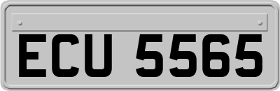 ECU5565