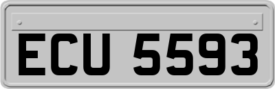 ECU5593