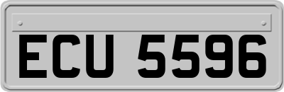ECU5596
