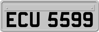 ECU5599