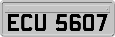 ECU5607