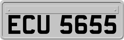 ECU5655