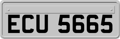 ECU5665