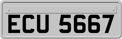 ECU5667