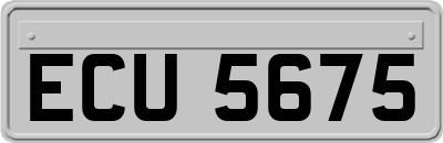 ECU5675