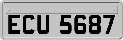 ECU5687