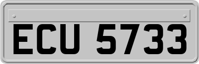 ECU5733