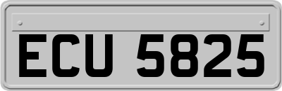 ECU5825