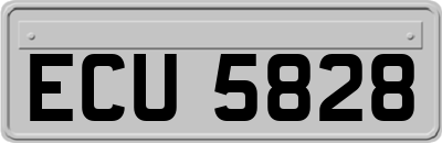 ECU5828
