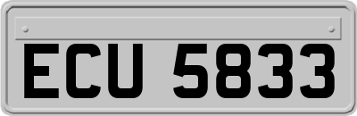 ECU5833