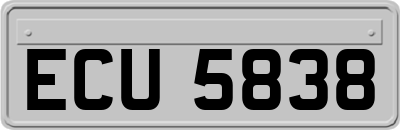 ECU5838