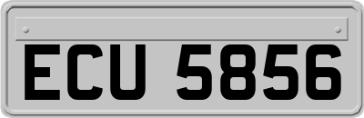 ECU5856