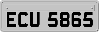 ECU5865