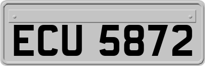 ECU5872
