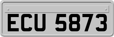 ECU5873