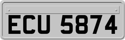 ECU5874
