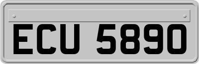 ECU5890