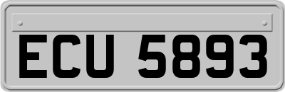 ECU5893