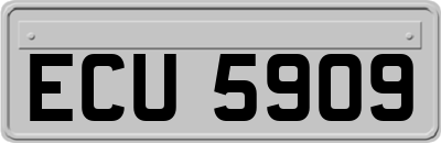 ECU5909