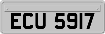 ECU5917