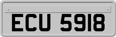 ECU5918