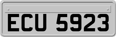 ECU5923