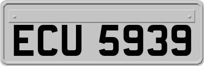 ECU5939