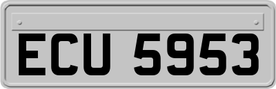 ECU5953